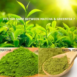 matcha vs green tea
