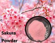 sakura powder