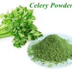 celery powder malaysia